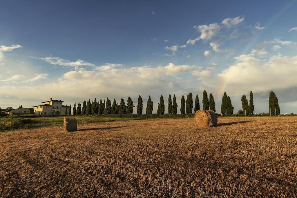 Casale Podernovo Apartamento Terricciola Exterior foto